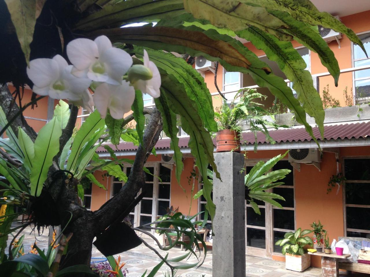 Canggu Pinpoint Rooms 외부 사진